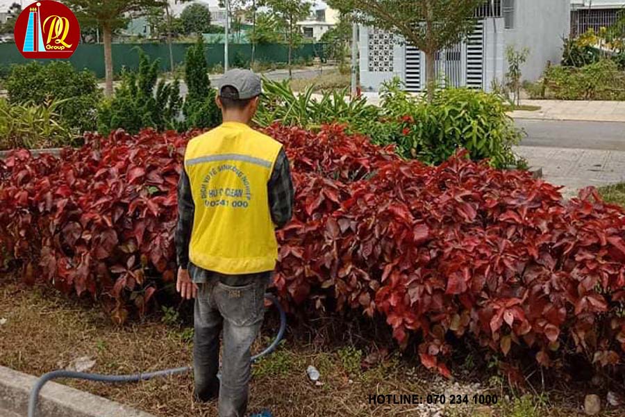 Dịch vụ chăm sóc cây cảnh tại Phú Quý Clean mang lại giải pháp tối ưu cho khách